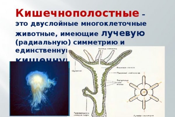 Кракен действующая ссылка