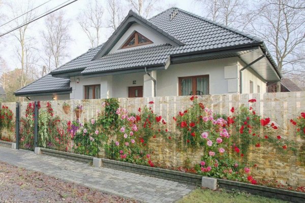 Как вывести деньги с кракена