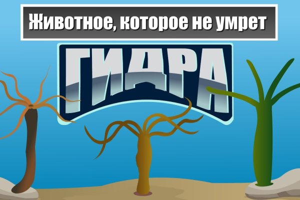 Купить наркотики онлайн
