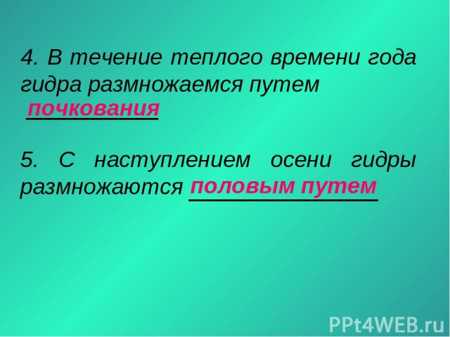 Как зайти на кракен через тор